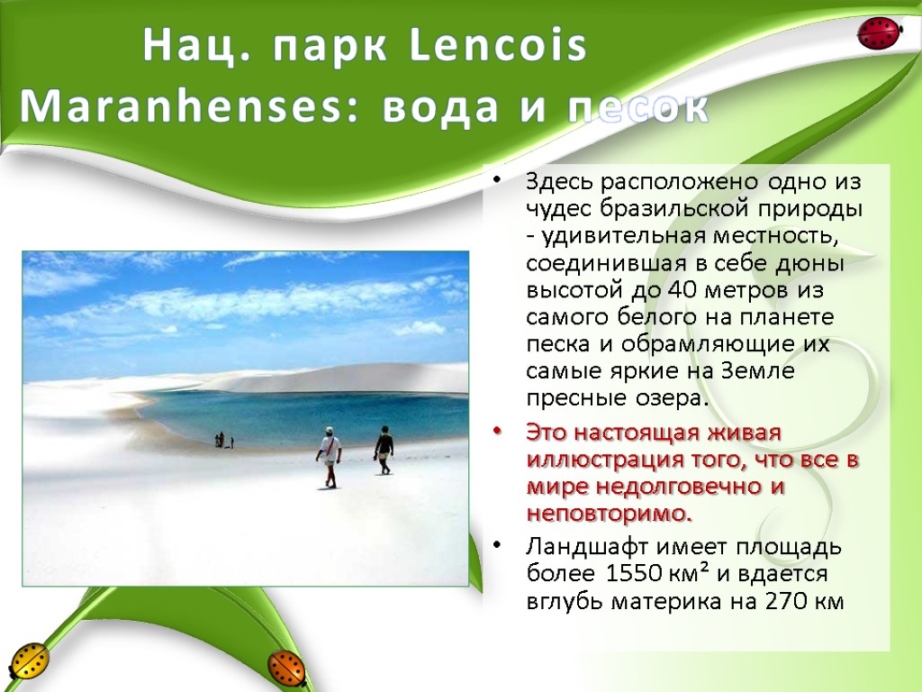 Нац. парк Lencois Maranhenses: вода и песок Здесь расположено одно из чудес бразильской природы